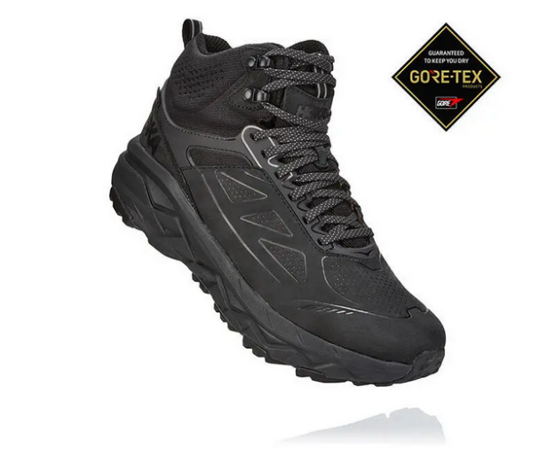 Picture of CHALLENGER MID PELLE GTX
