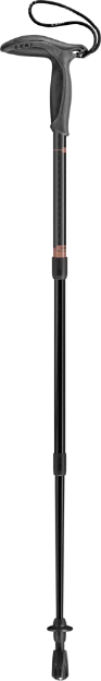 Picture of BAST SUPER MICRO