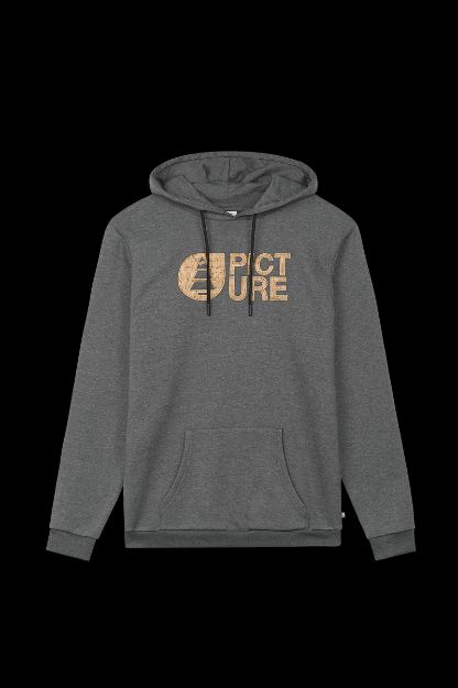 Immagine di BASEMENT CORK HOODY