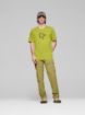 Immagine di FEMUND EQUALISER MERINO TSHIRT